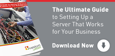 Download Server Guide PDF